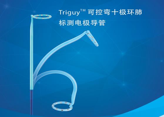 triguy? pv環(huán)狀可控標(biāo)測導(dǎo)管