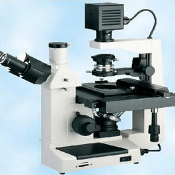 三目倒置生物顯微鏡