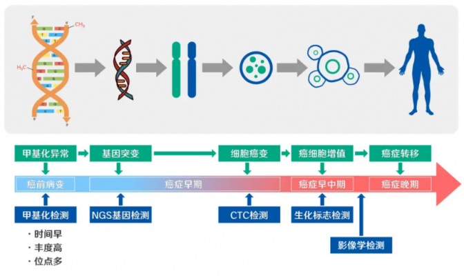 pcdhgb7基因甲基化檢測分析軟件epiprobe02